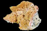 Pink and Orange Bladed Barite - Mibladen, Morocco #103731-1